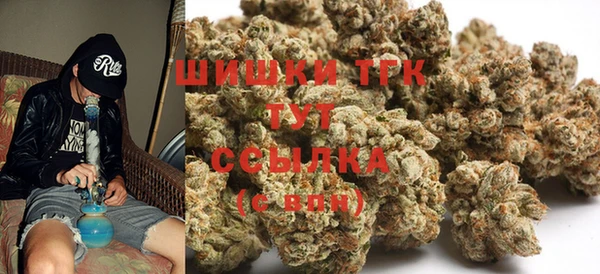 сатива Абинск