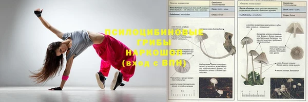 первитин Абаза