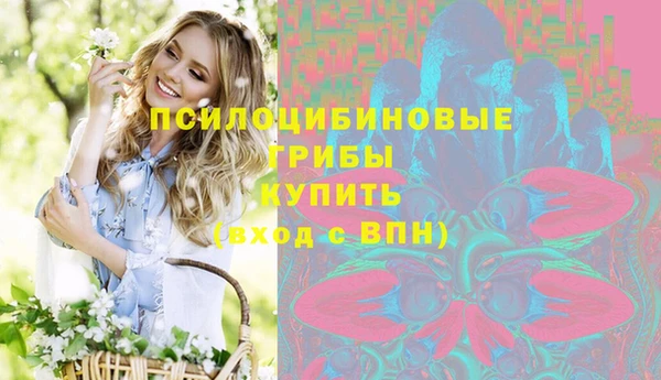сатива Абинск