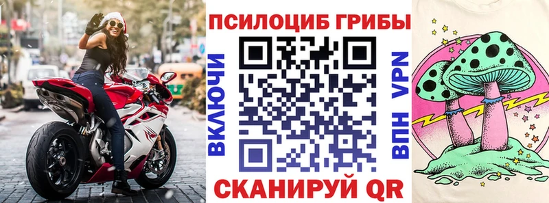 дарнет шоп  Сергач  Псилоцибиновые грибы прущие грибы 